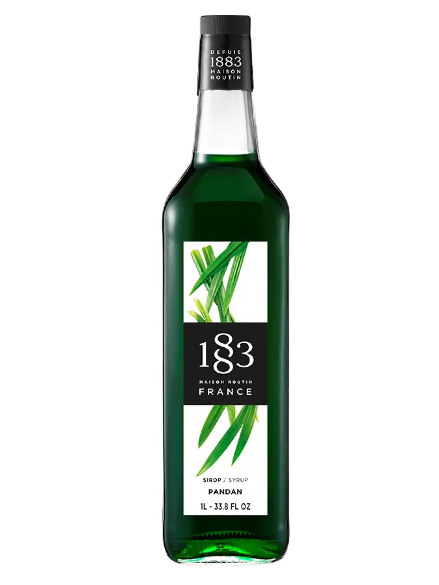 1883 Pandan sirup – eksotisk og aromatisk sirup med pandansmag, perfekt til at tilføje en tropisk og unik smag til cocktails og desserter