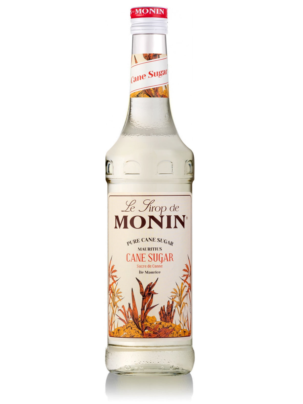 Monin Rohrzuckersirup