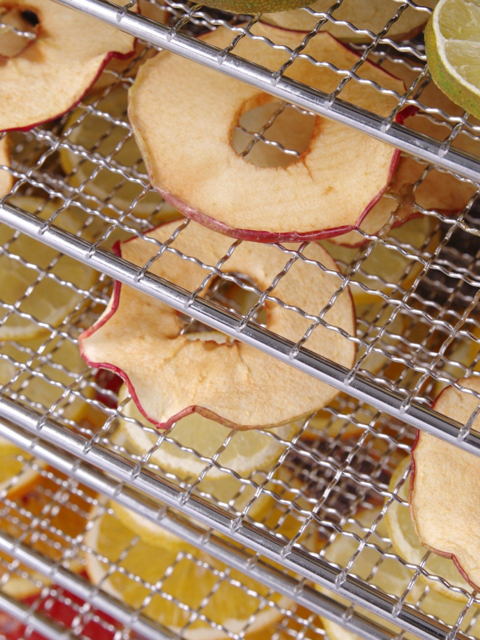 Dry fruits, vegetables, and garnishes with this professional dehydrator with 10 tray